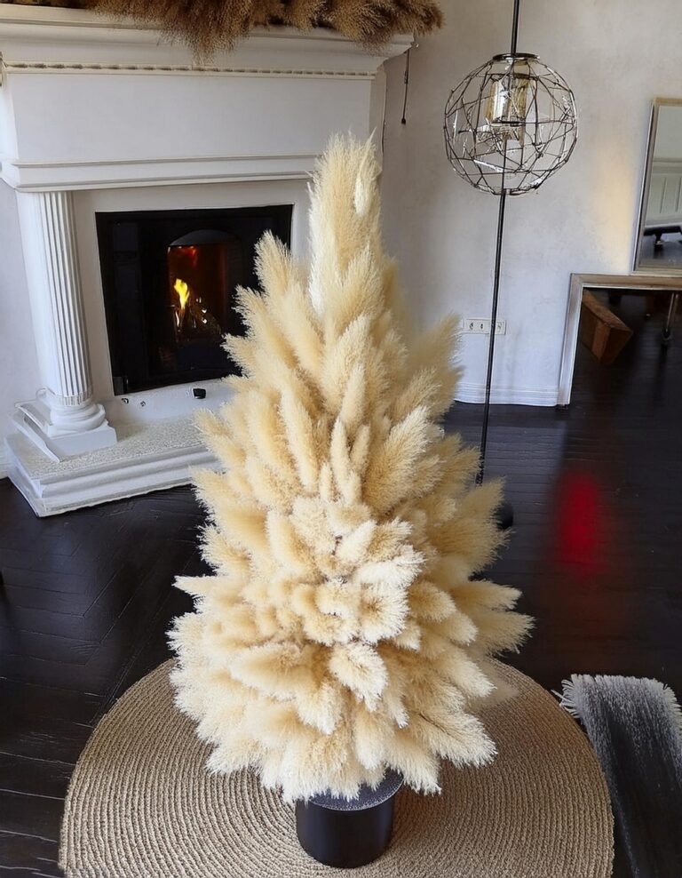 Brighten Up Your Christmas with a Pampas Grass Tree