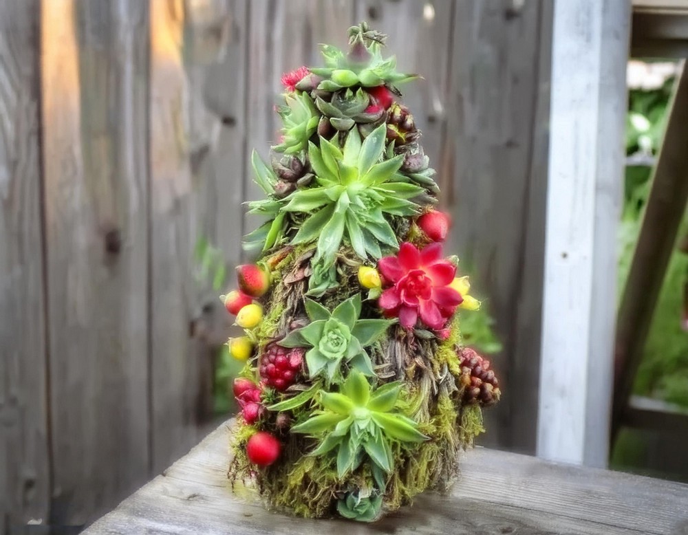 Brighten Up Your Home with a Colorful Succulent Tree