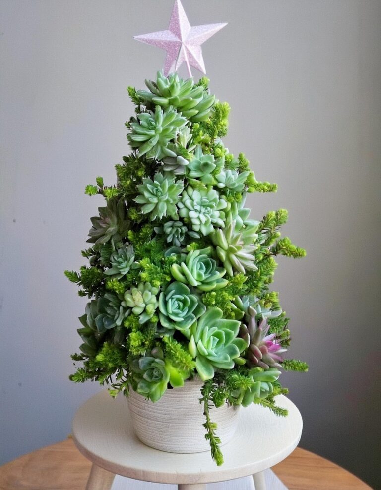 Bring Joy to a Space with an Enchanting Succulent Tree