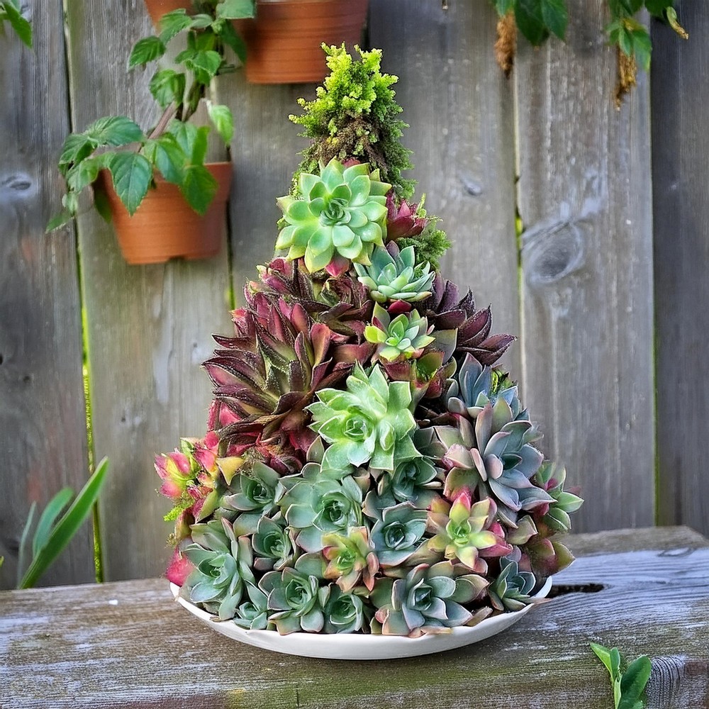 Get into the Festive Spirit with a Magical Succulent Tree