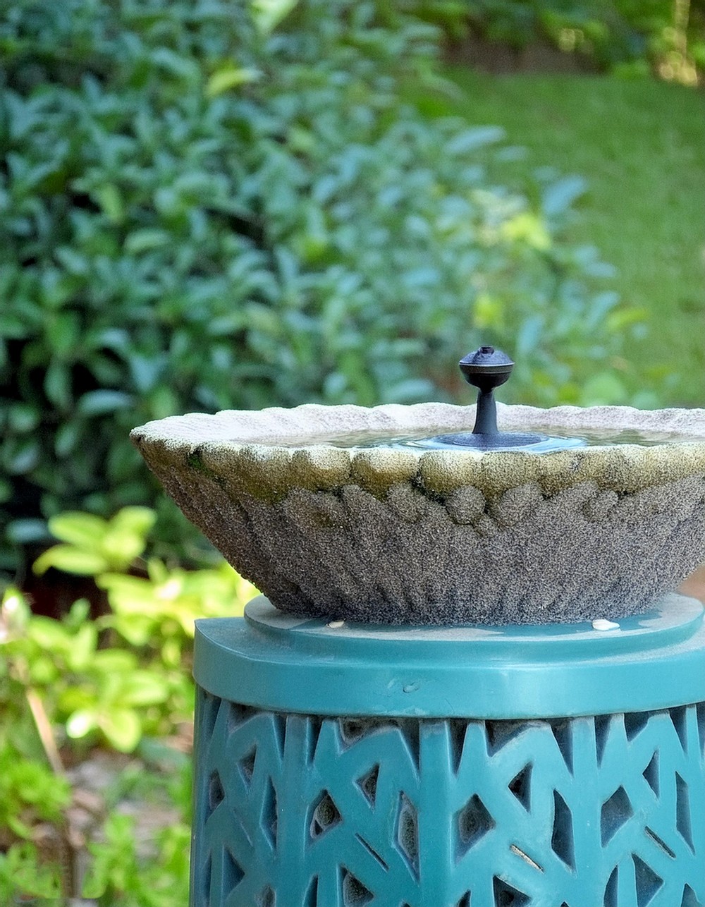 Add Character to Your Space with a Concrete Birdbath