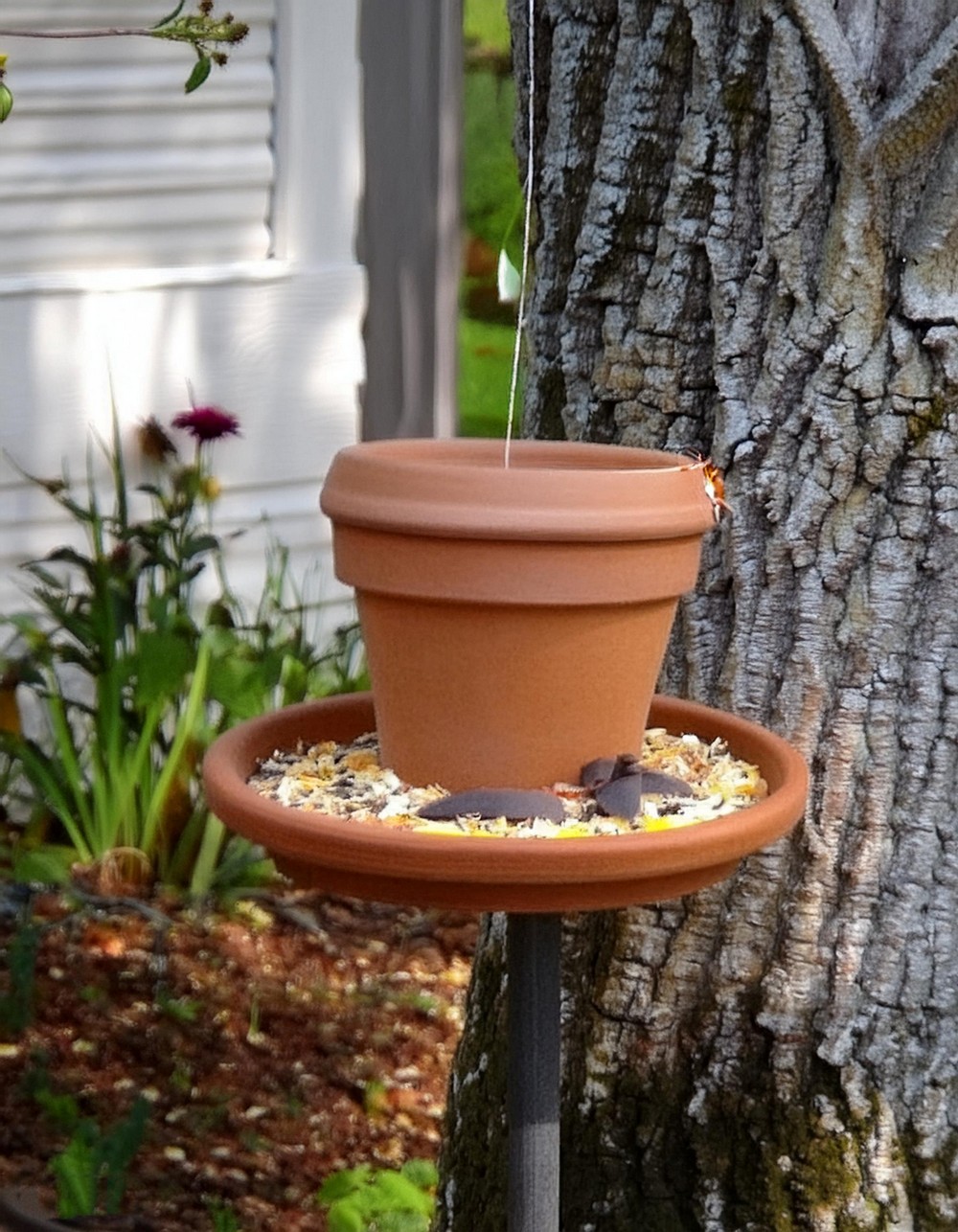 Attract Birds with a DIY Clay Flower Pot Bird Feeder