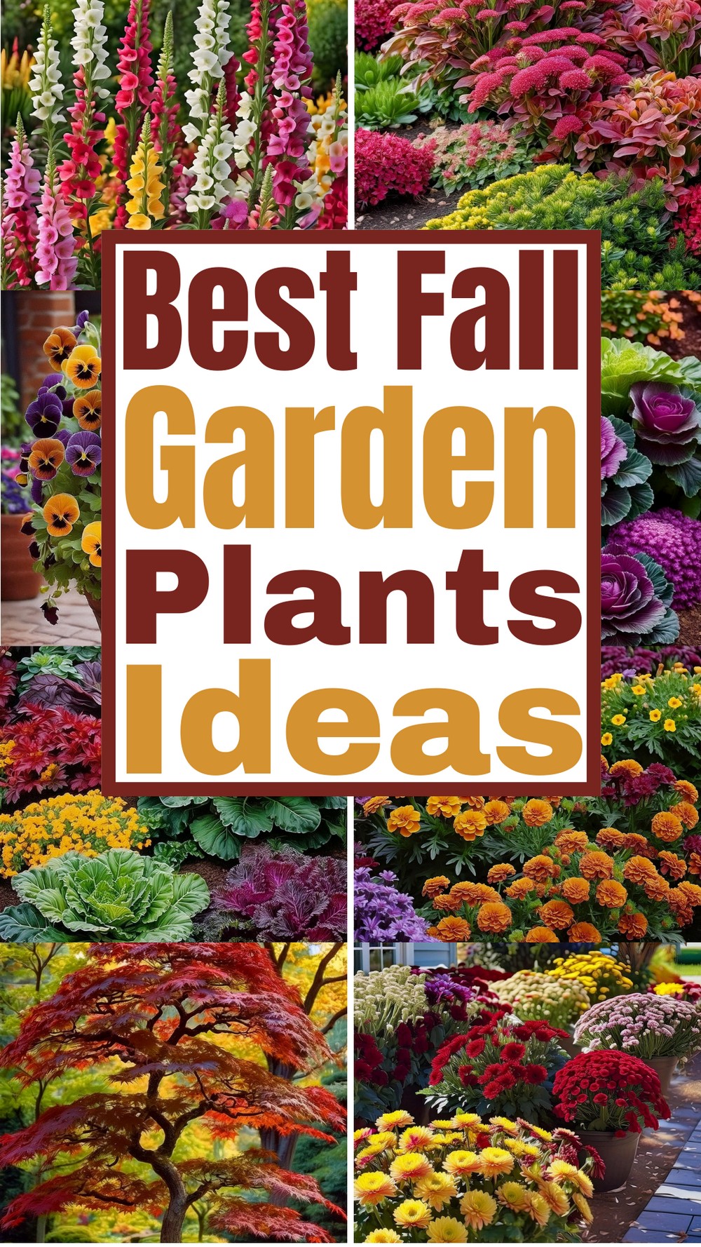 Best Fall Garden Plants Ideas