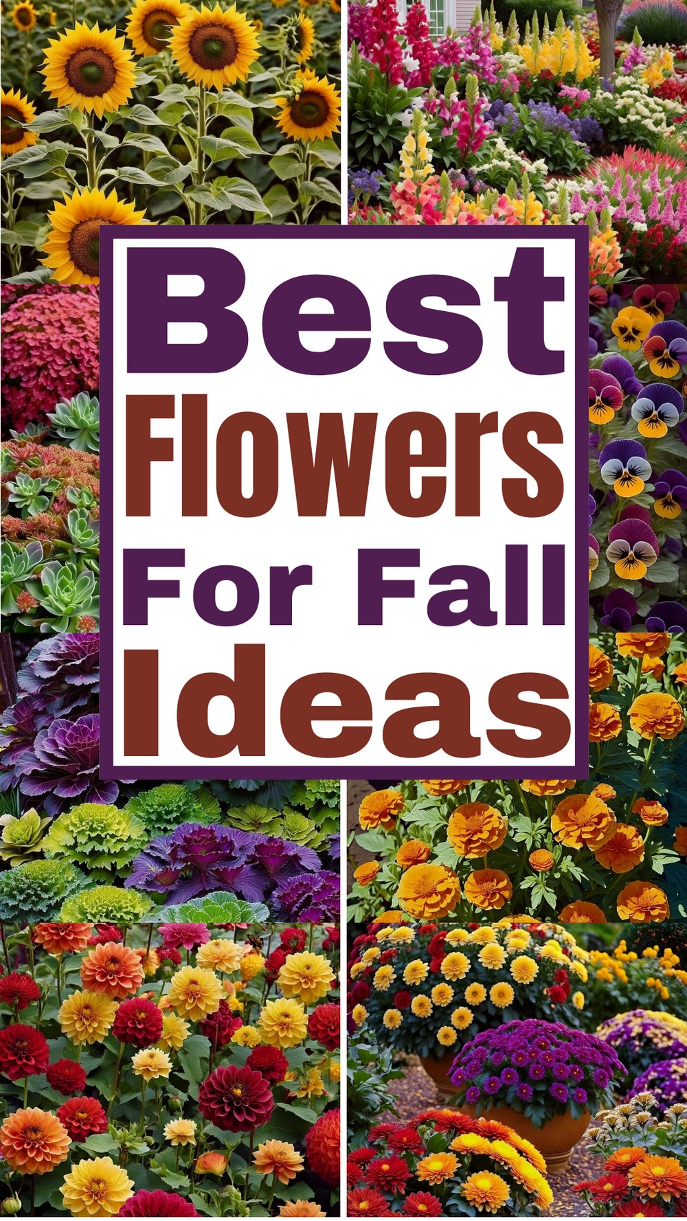 Best Flowers For Fall