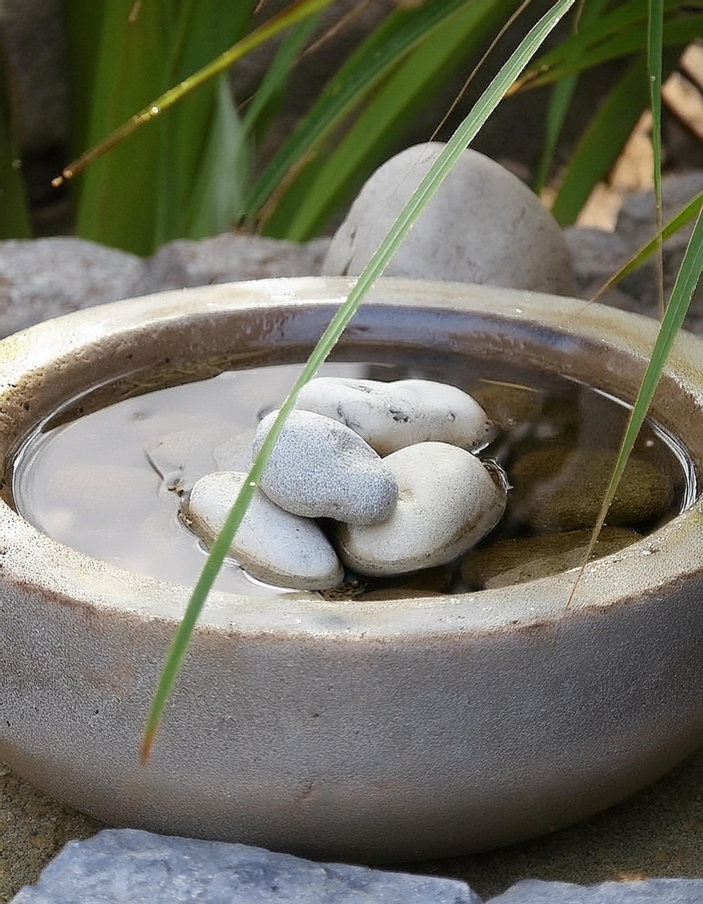 Bring a Contemporary Vibe with a Concrete Birdbath