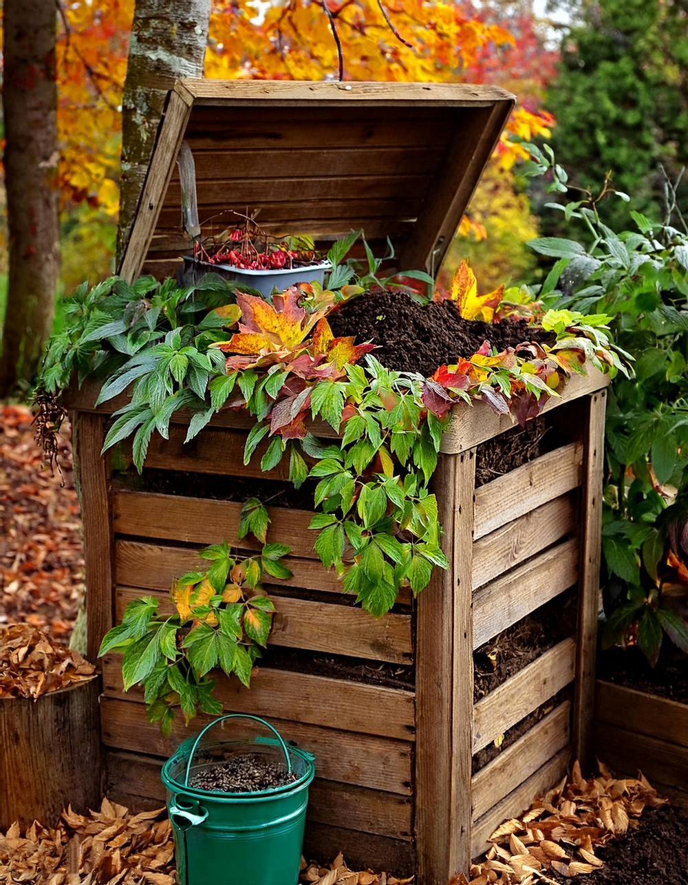 Build a Compost Bin