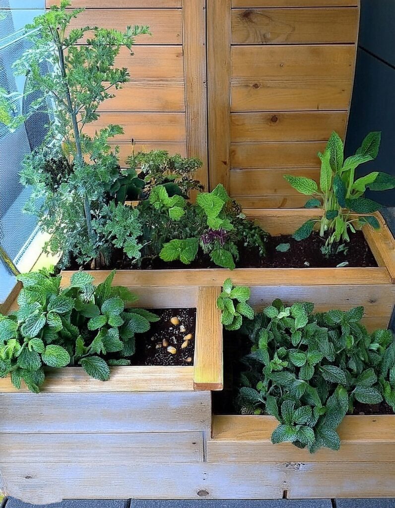 Build a Triple Tier Garden Bed