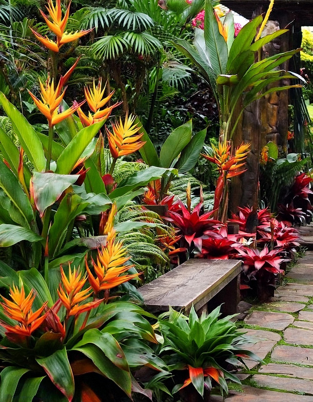 Exotic Flower Borders