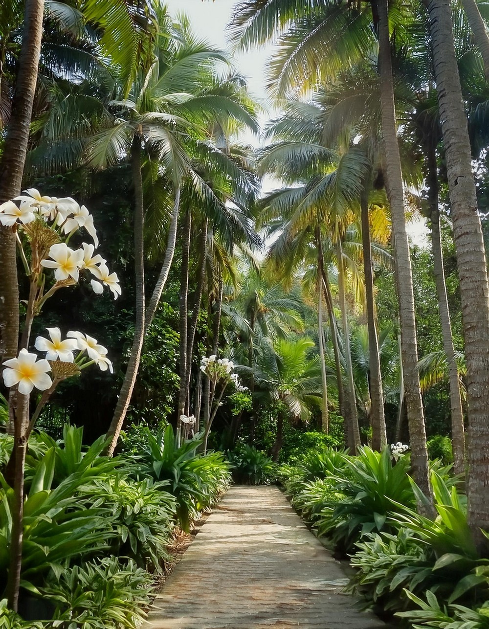 Fragrant Frangipani Pathway