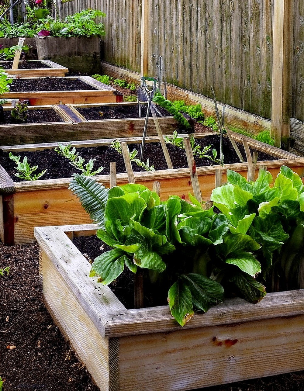 Garden Bed Template Unifies Landscape