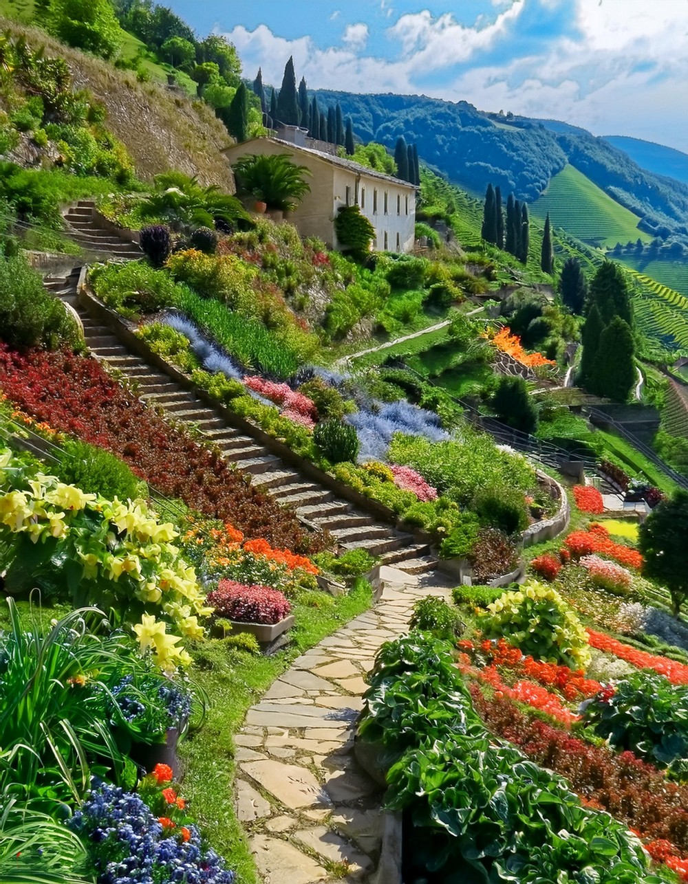 Hillside Vegetable Gardens for aProductive Landscape