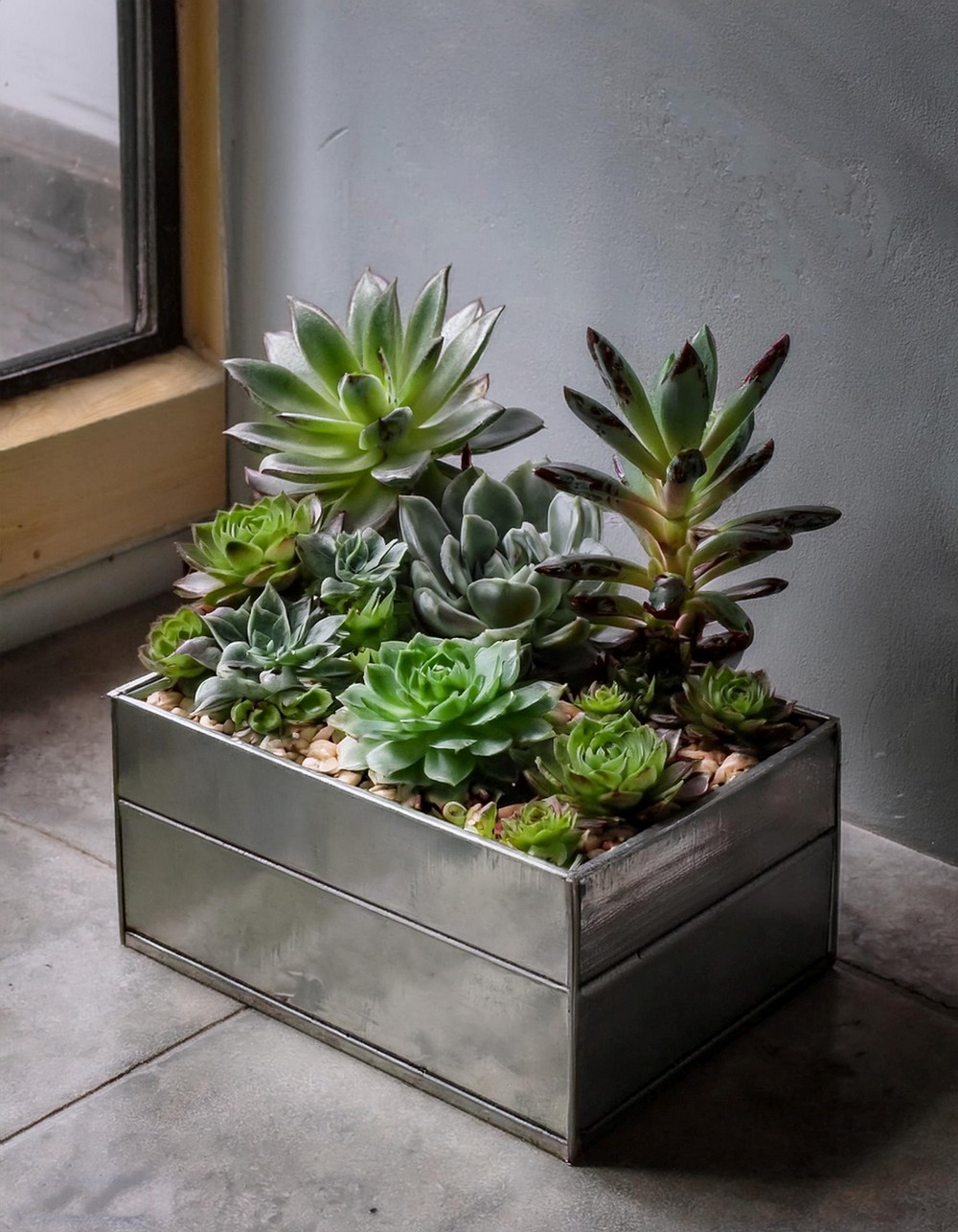 Modern Succulent Planter Box with Metal Frame