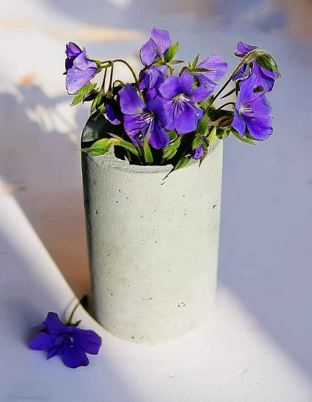 Showcase Your Creativity with DIY Concrete Planters