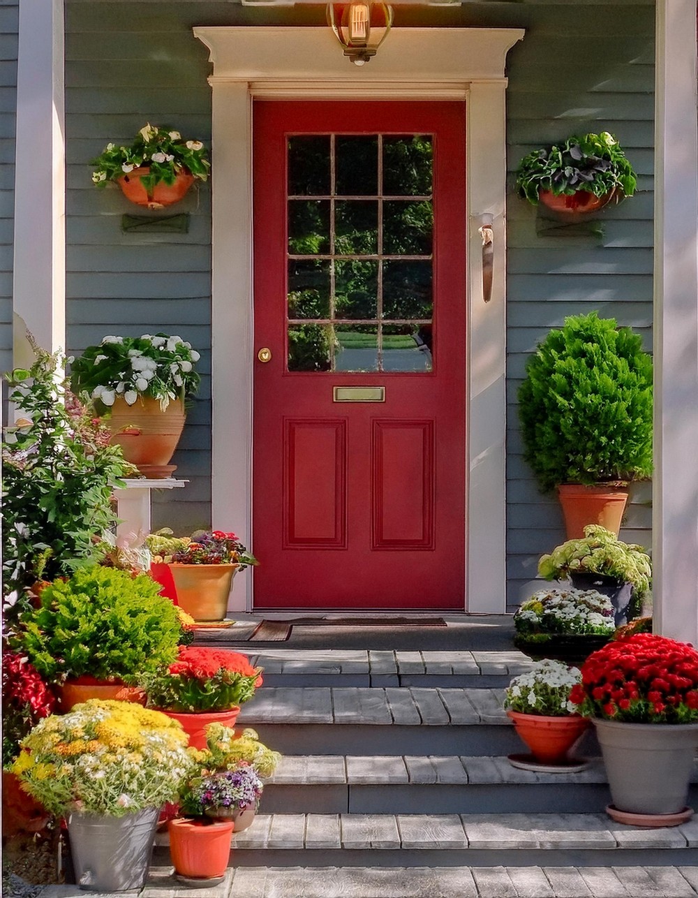 Showcase Your Favorite Flowers in Potted Planters