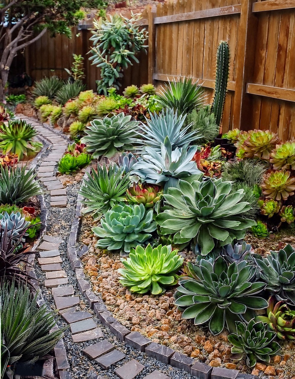 Succulent Garden Bed for Low Maintenance