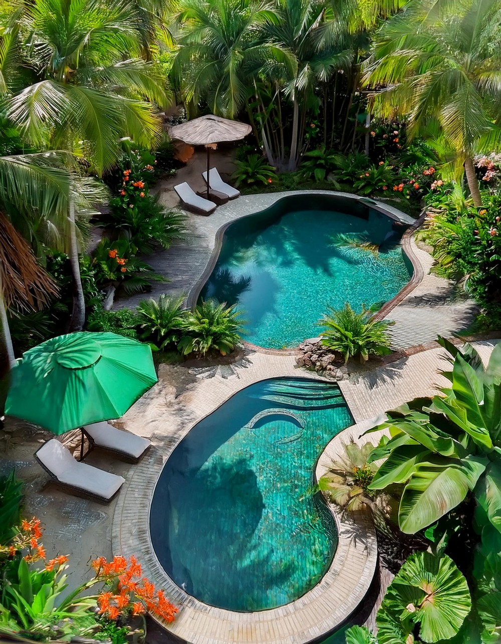 Unique Shaped Pool with Tropical Landscaping