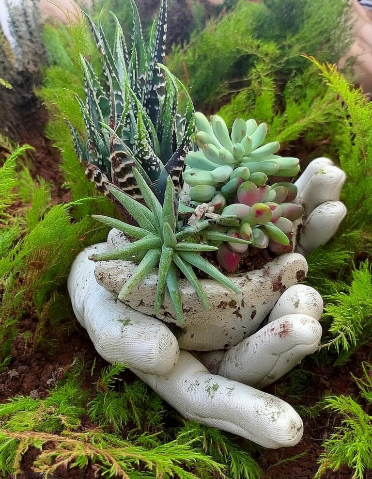 Unmatched Aesthetics with Cement Hand Succulent Planter