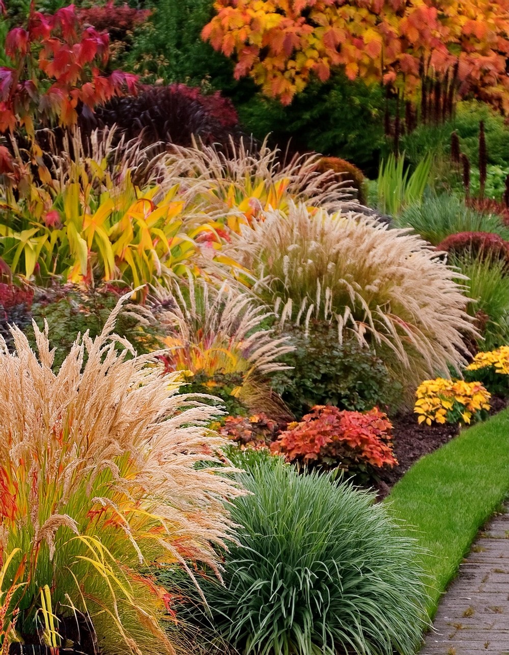 Use Ornamental Grasses