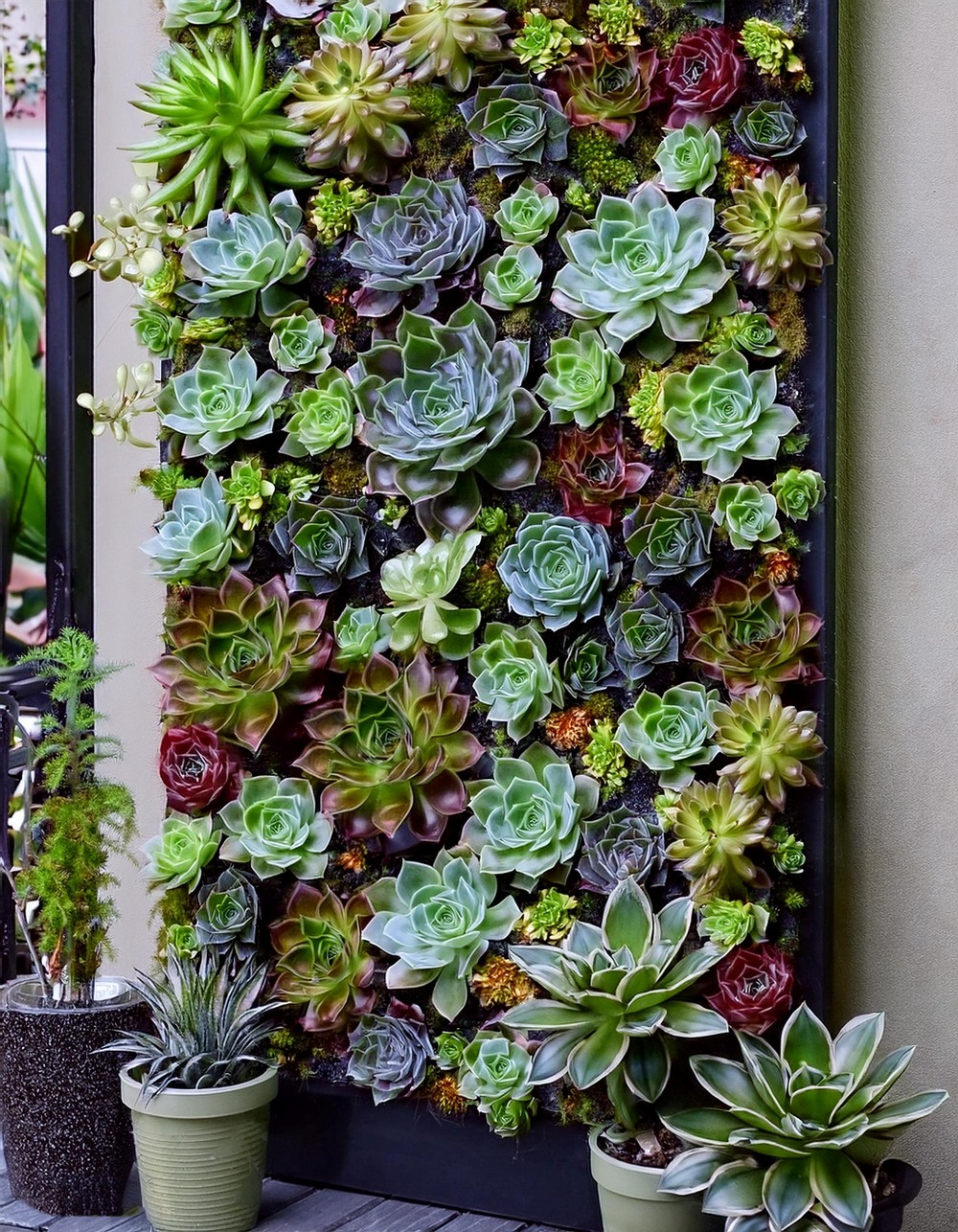 Vertical Garden with Succulents and Herbs