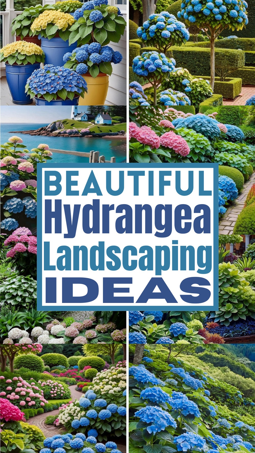 Beautiful Hydrangea Landscaping Ideas