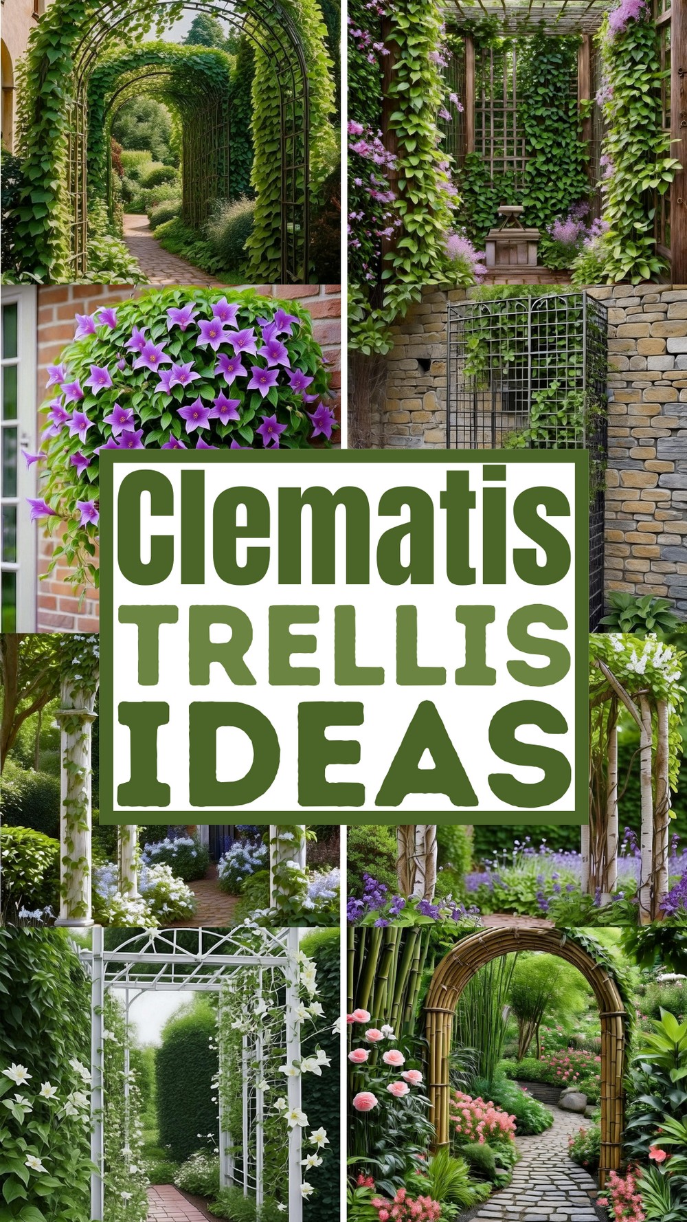 Clematis Trellis Ideas