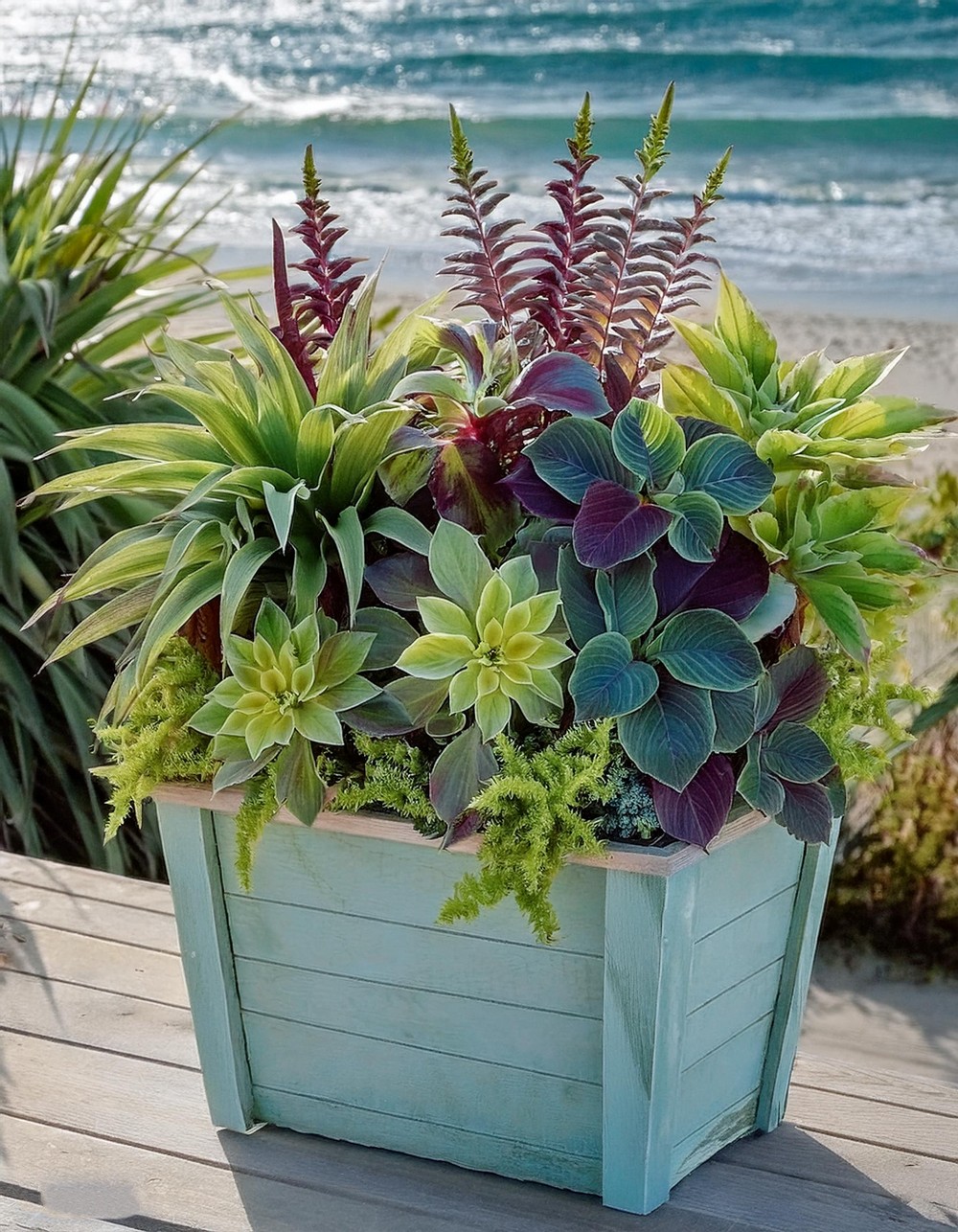 Coastal-Inspired Coleus Container