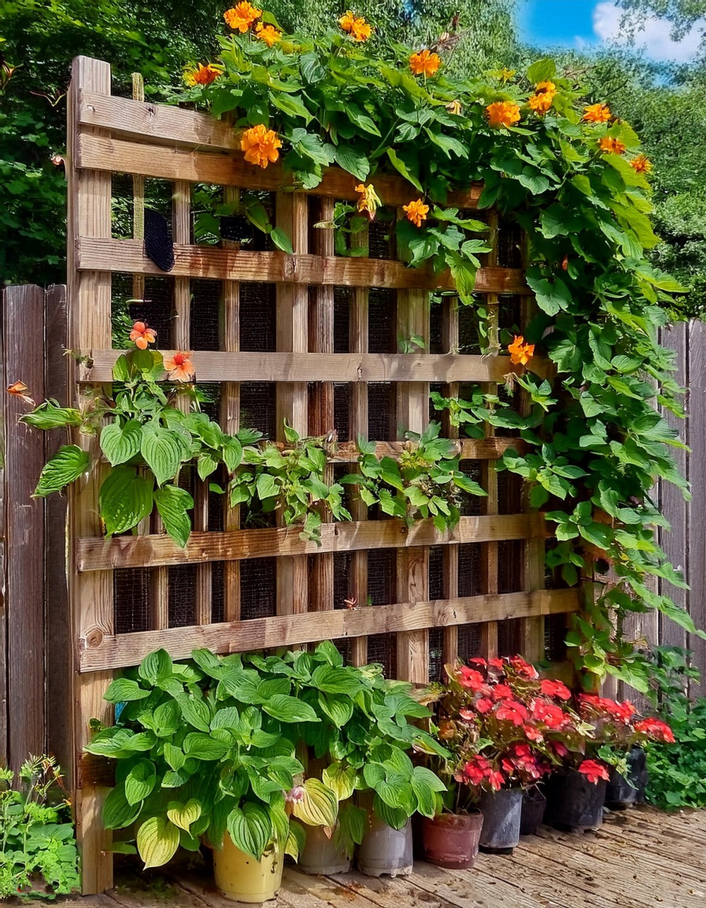 DIY Pallet Trellis