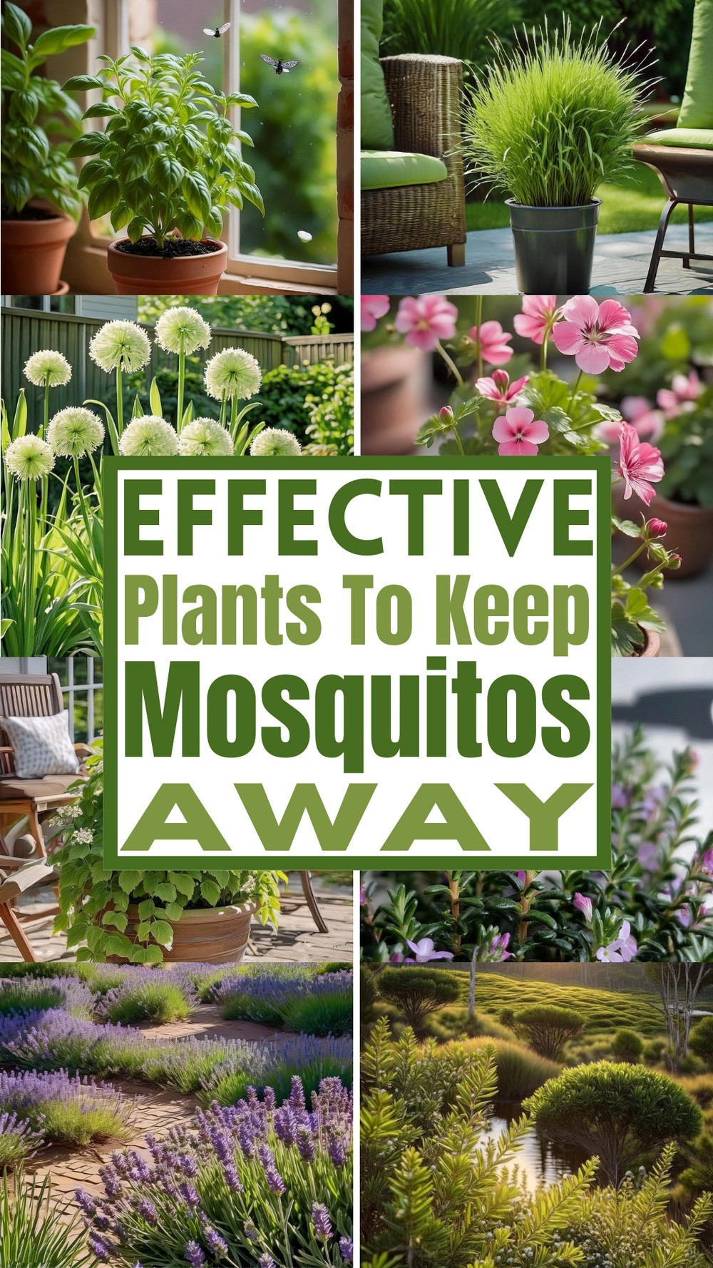 Effective Plants To Keep Mosquitos Away