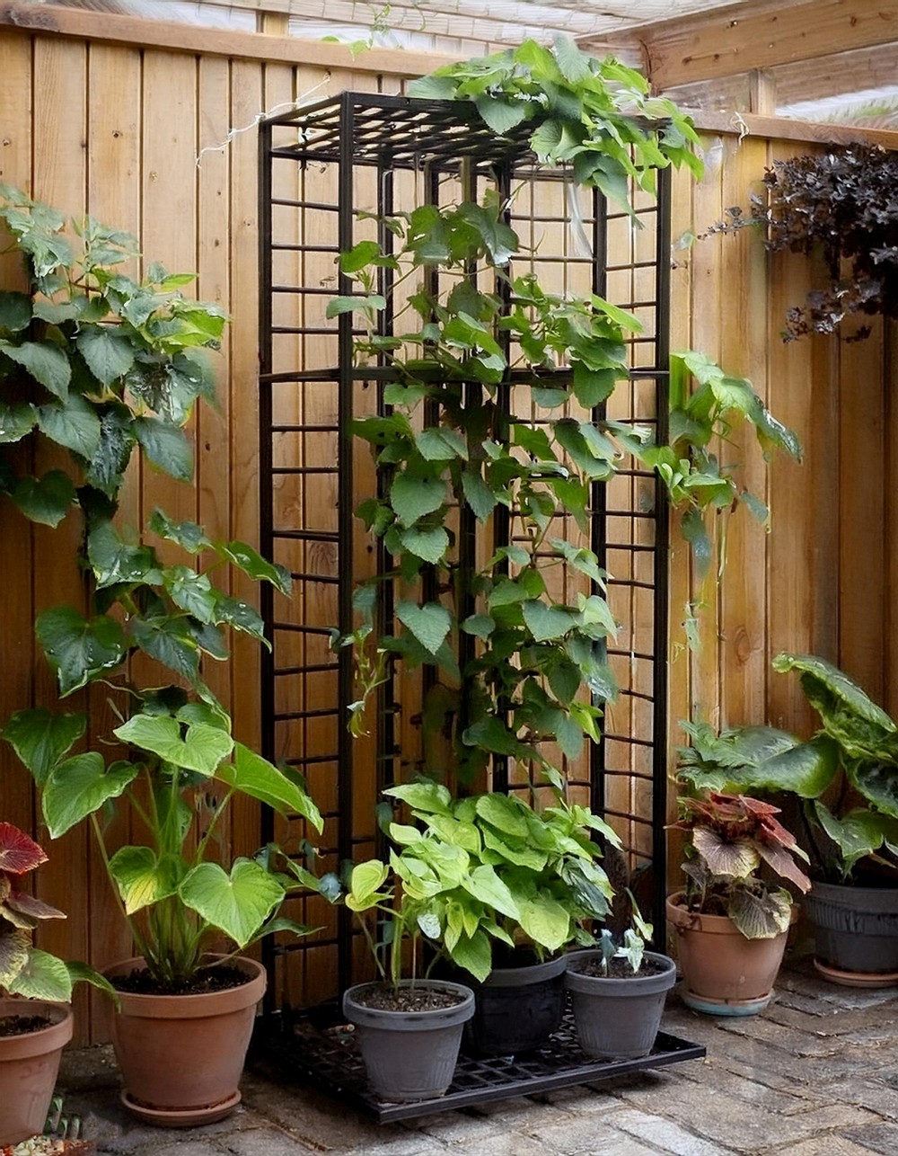 Folding Trellis Design