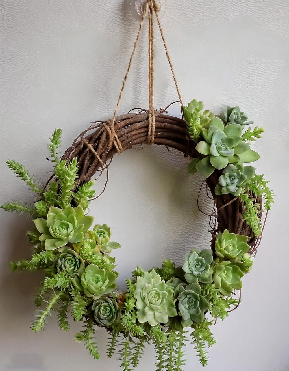 Hanging Succulent Wreath with Sedum