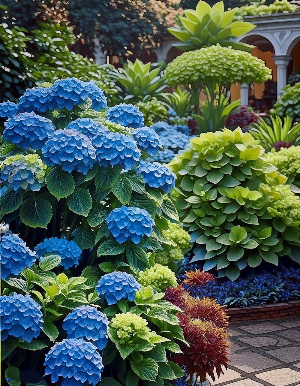 Hydrangea and Succulent Contrast Garden