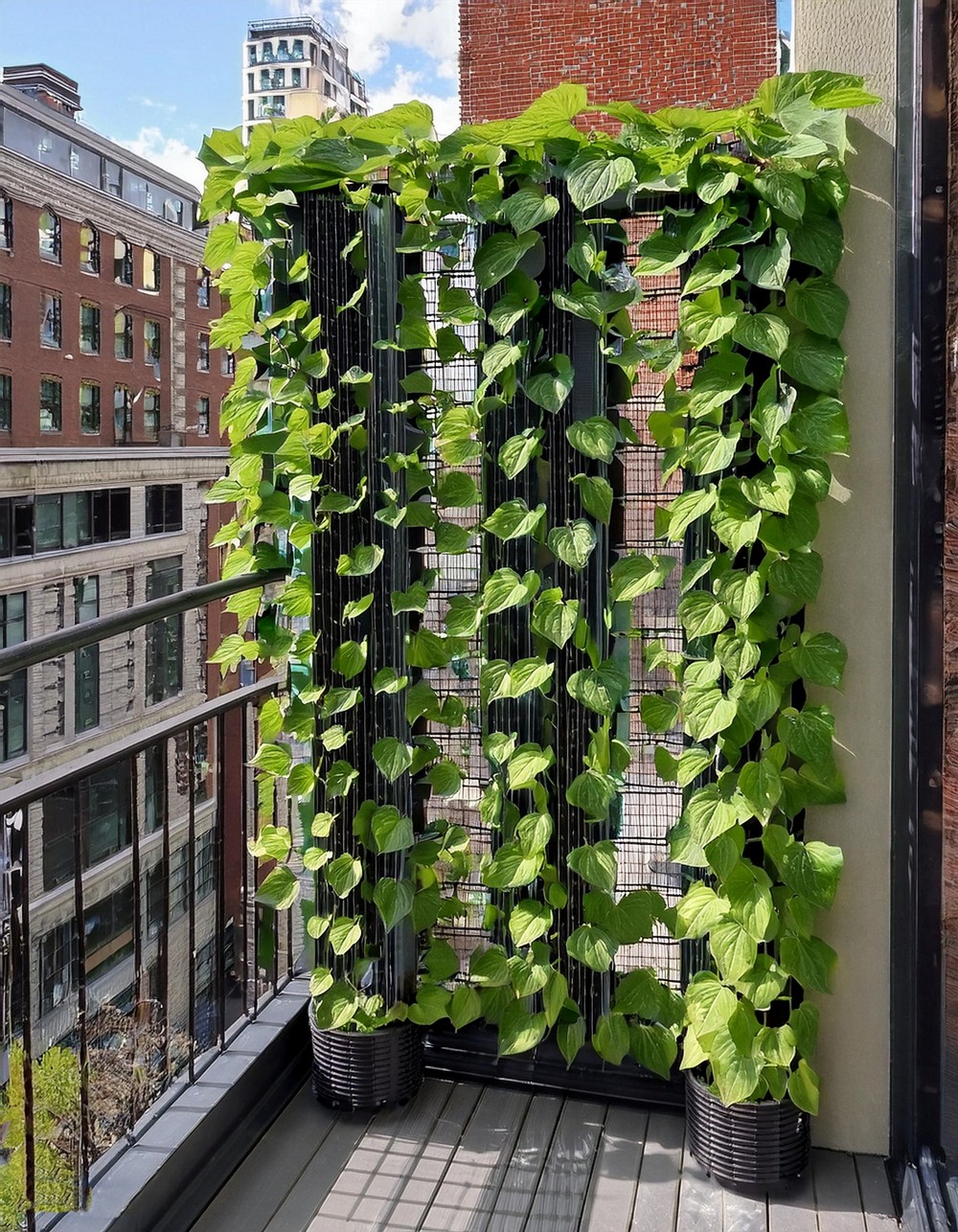 Retractable Trellis System