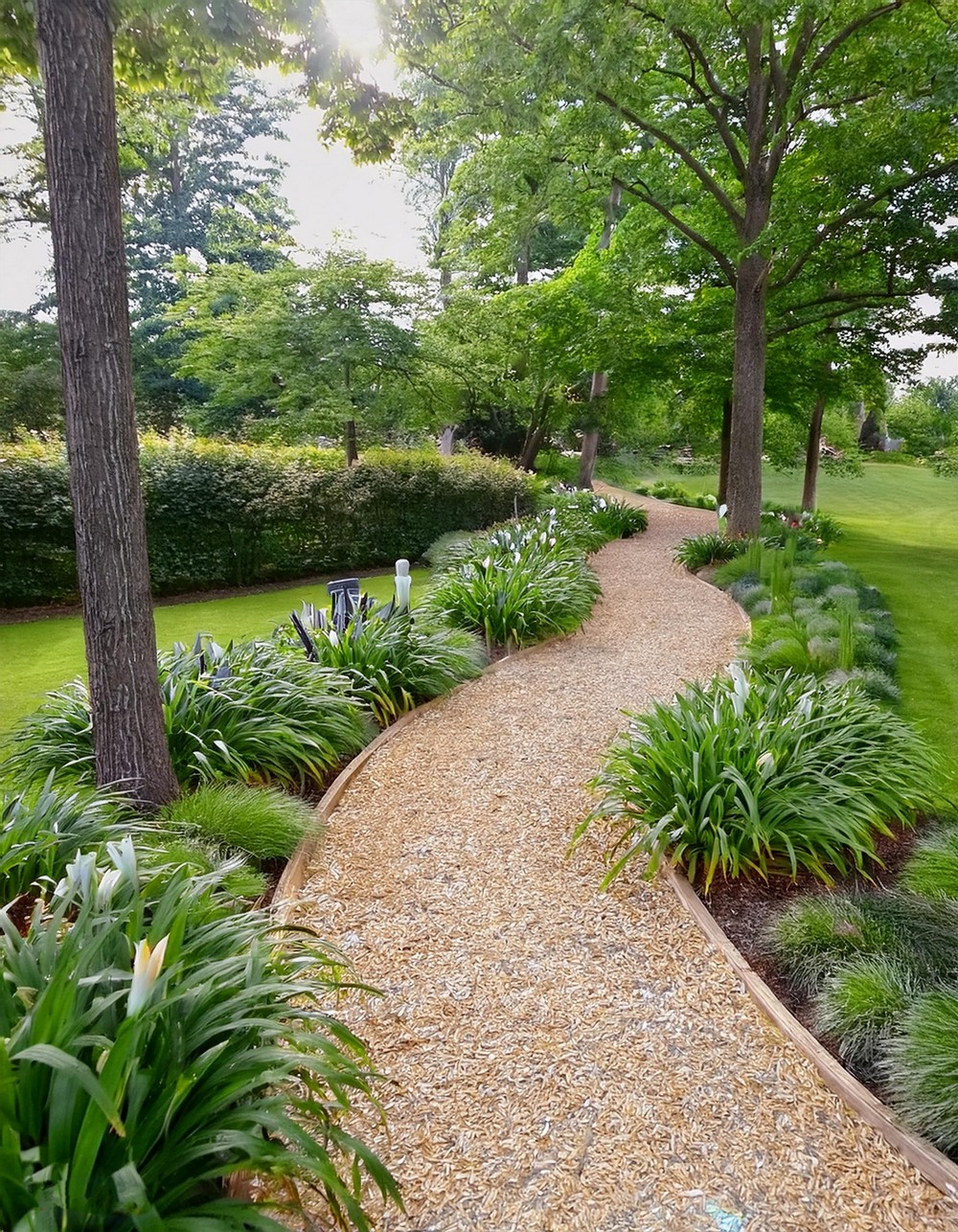 Wood Chip Pathway